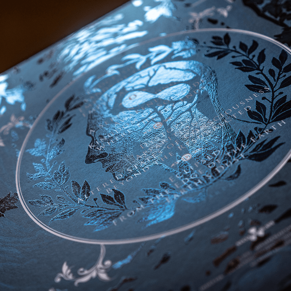 Edge of the Earth Gatefold Vinyl - Moons Lapse