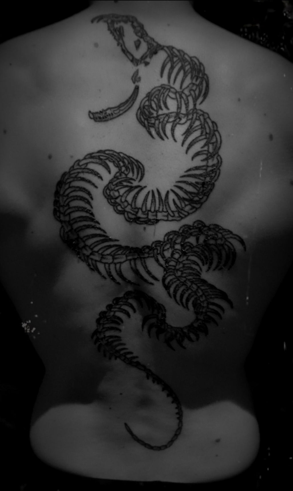 Snake Skeleton Tattoo Tee - Black