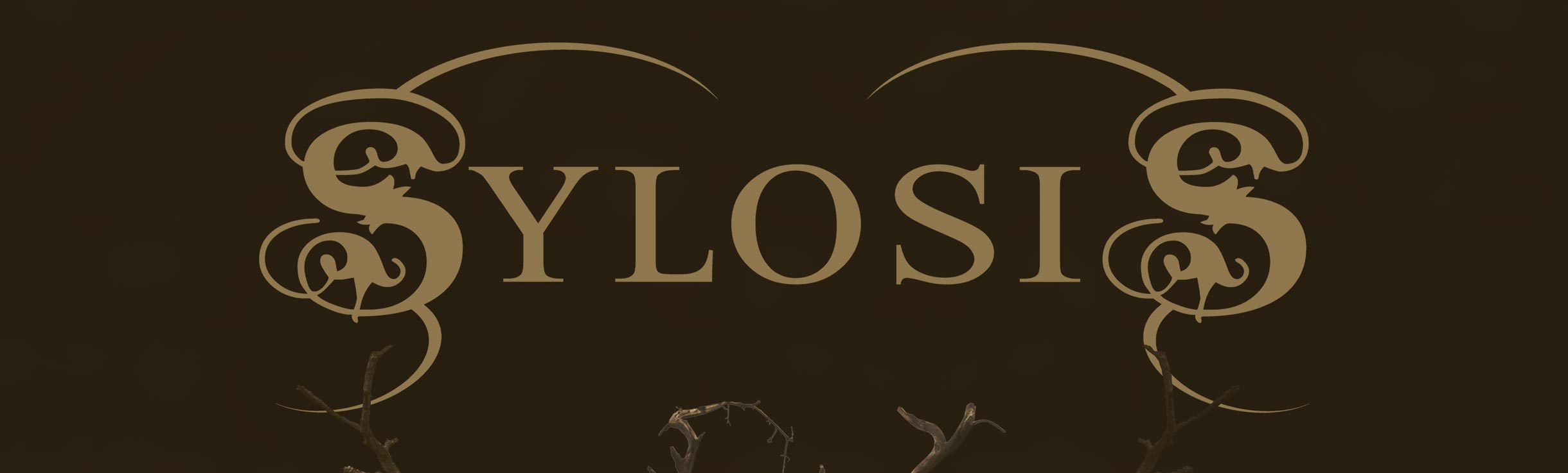 Official Web store for UK Metal Band Sylosis
